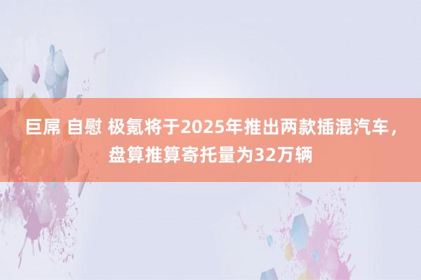 巨屌 自慰 极氪将于2025年推出两款插混汽车，盘算推算寄托量为32万辆