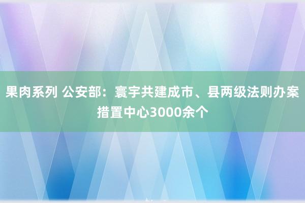 果肉系列 公安部：寰宇共建成市、县两级法则办案措置中心3000余个