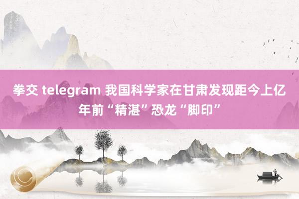 拳交 telegram 我国科学家在甘肃发现距今上亿年前“精湛”恐龙“脚印”