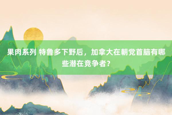 果肉系列 特鲁多下野后，加拿大在朝党首脑有哪些潜在竞争者？