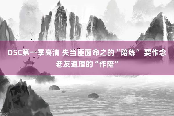 DSC第一季高清 失当匪面命之的“陪练” 要作念老友道理的“作陪”