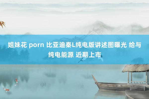 姐妹花 porn 比亚迪秦L纯电版讲述图曝光 给与纯电能源 近期上市