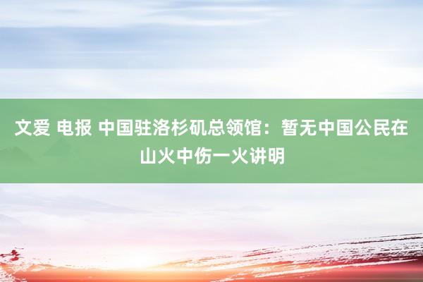 文爱 电报 中国驻洛杉矶总领馆：暂无中国公民在山火中伤一火讲明