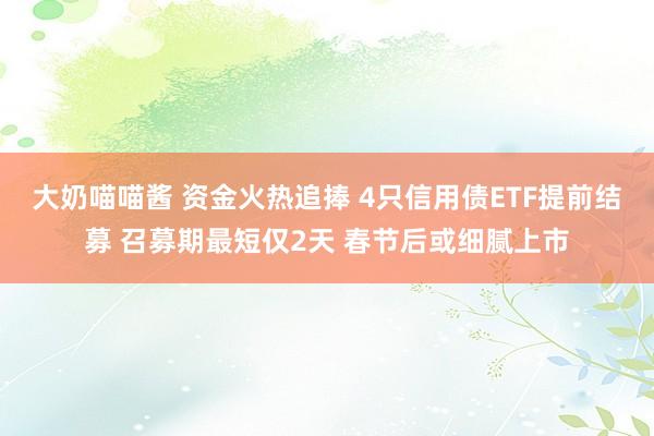 大奶喵喵酱 资金火热追捧 4只信用债ETF提前结募 召募期最短仅2天 春节后或细腻上市