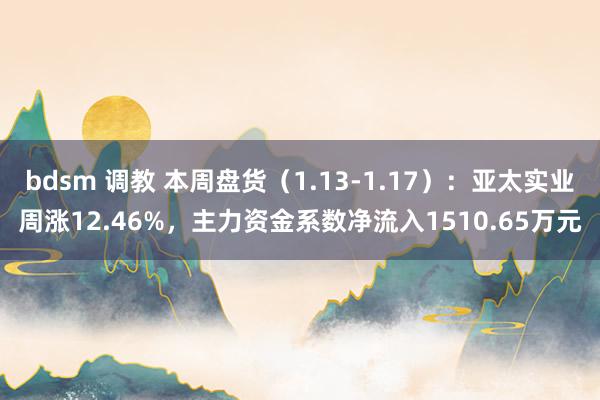 bdsm 调教 本周盘货（1.13-1.17）：亚太实业周涨12.46%，主力资金系数净流入1510.65万元