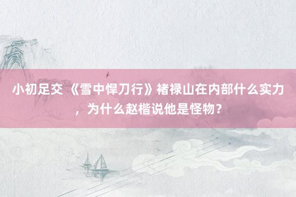 小初足交 《雪中悍刀行》褚禄山在内部什么实力，为什么赵楷说他是怪物？